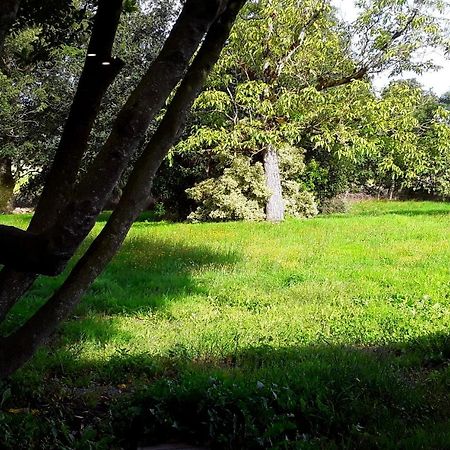 Domaine De La Tranquillite V Villa Noyal-Muzillac ภายนอก รูปภาพ