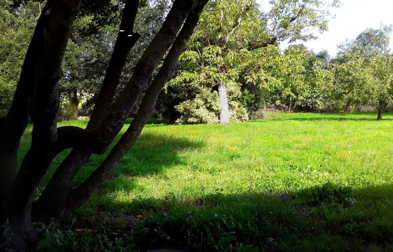 Domaine De La Tranquillite V Villa Noyal-Muzillac ภายนอก รูปภาพ